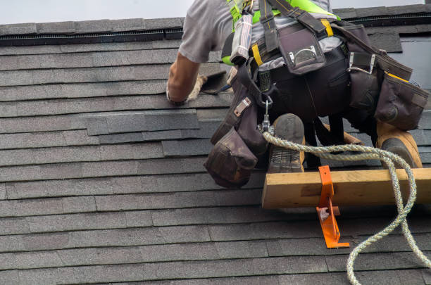 Roof Moss and Algae Removal in Woodland Park, CO