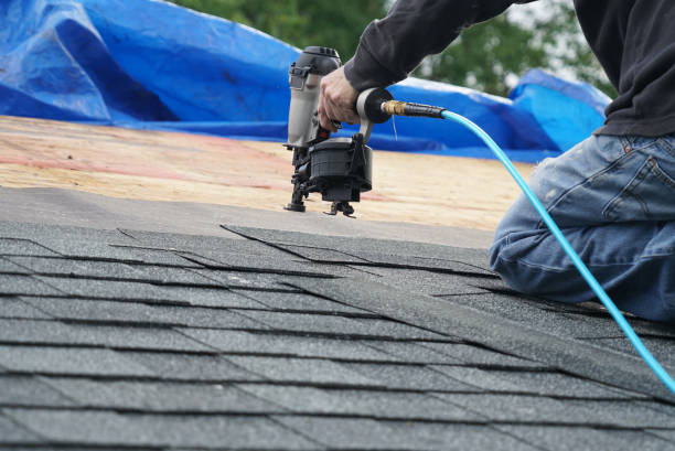 Best Roof Maintenance and Cleaning  in Woodland Park, CO