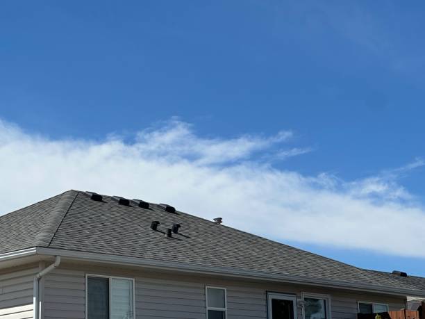 Hot Roofs in Woodland Park, CO